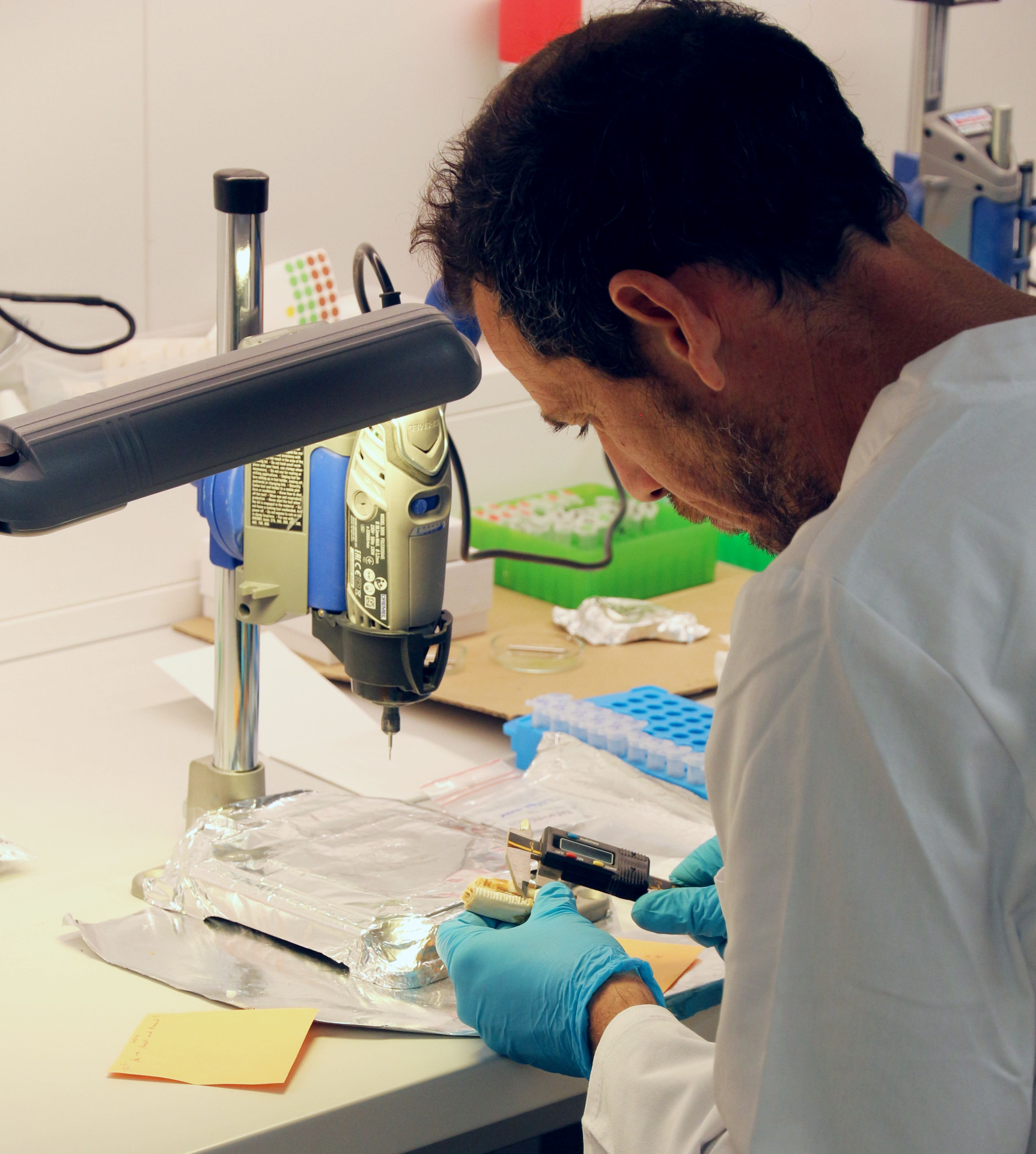 Equipment :: Makarewicz Lab